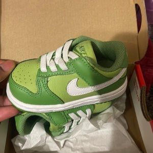 Brand new Nike dunks